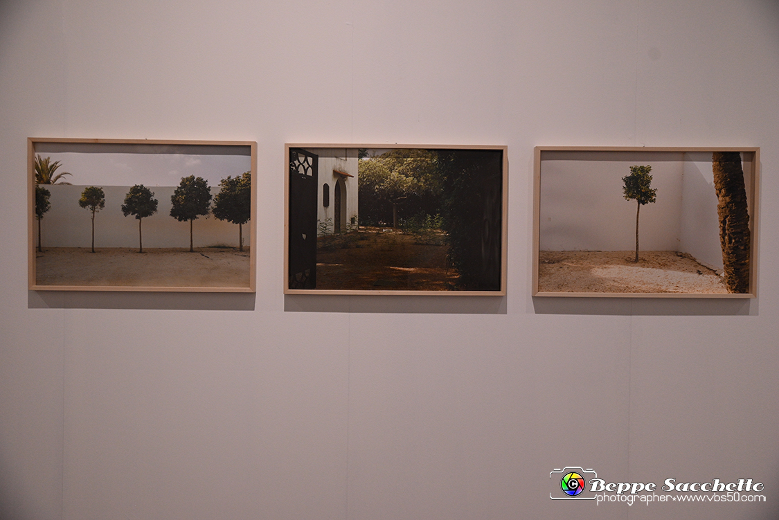 VBS_0865 - Mostra Liquida Photofestival.jpg